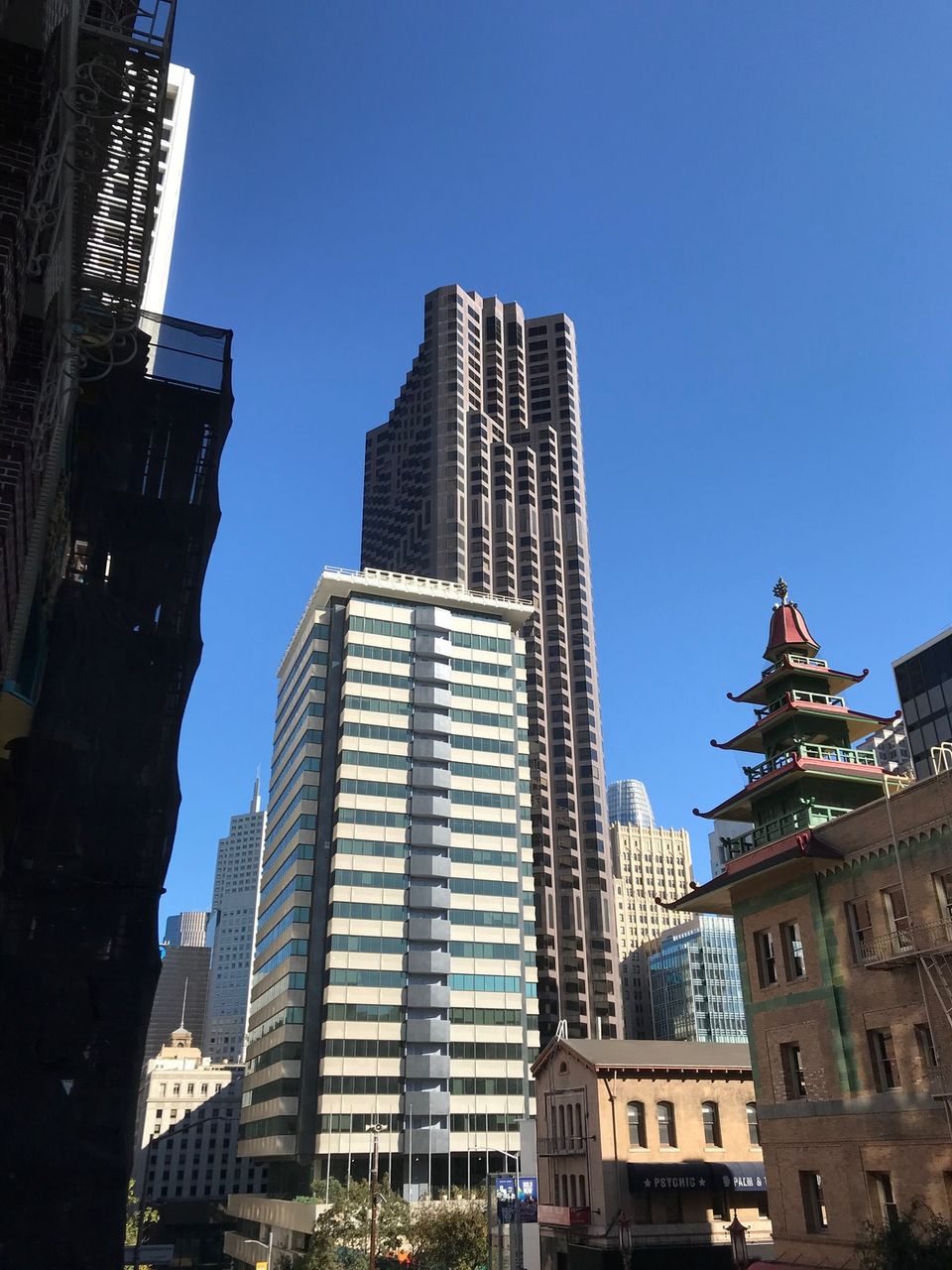 Young Man Yells at Skyscraper